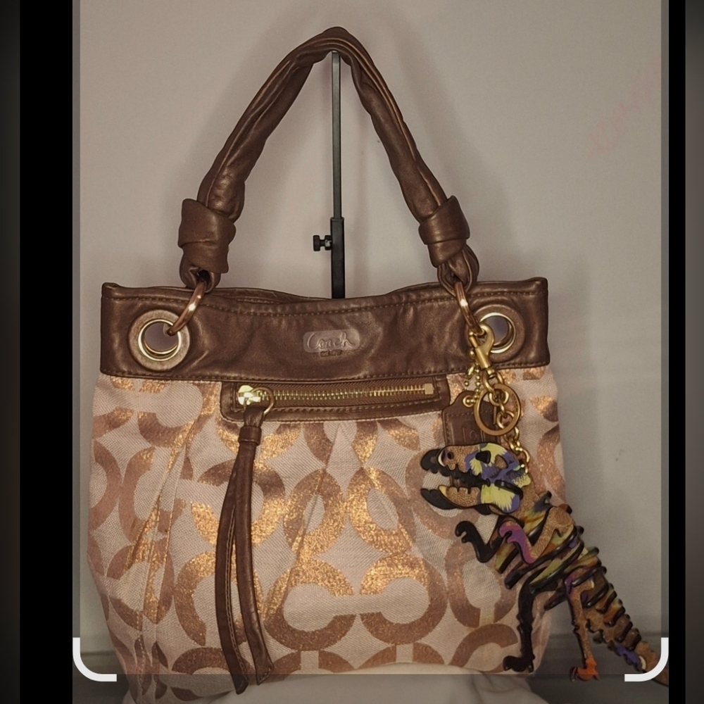 2000's Coach Op Art Hobo